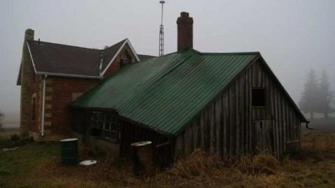 Silent Recognition - dlimage.jpg