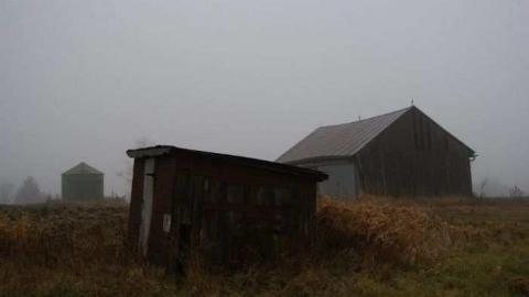 Silent Recognition - ntimage.jpg