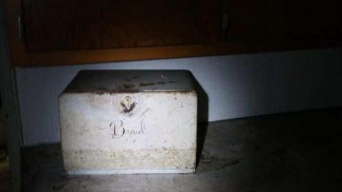 Silent Recognition cover photo