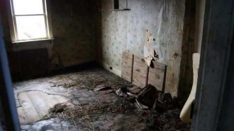 Silent Recognition - edimage.jpg