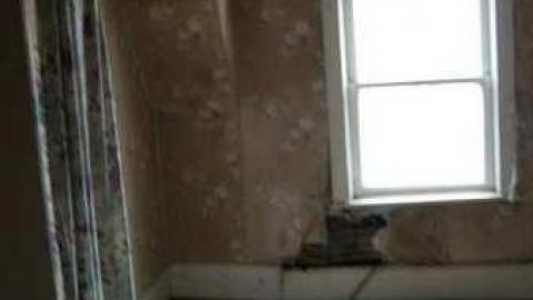 Silent Recognition - rzimage.jpg