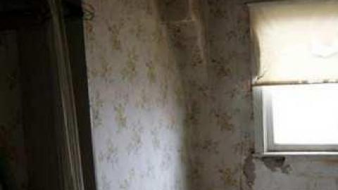 Silent Recognition - dnimage.jpg