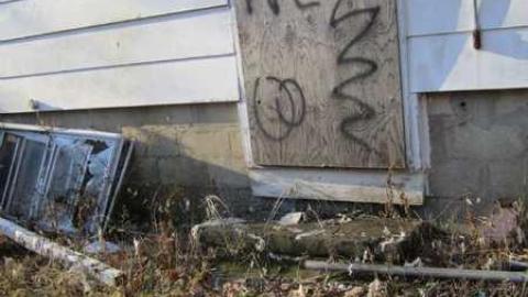 Woodview Avenue House photo 4