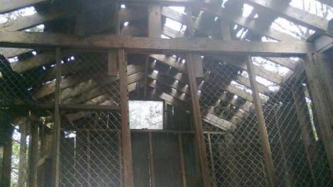 Britannia Shack photo 5