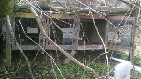 Britannia Shack - Mississauga, Ontario