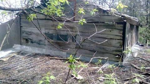 Britannia Shack photo 2