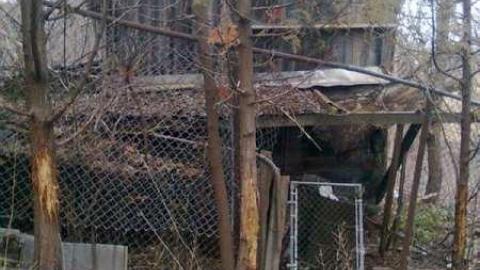 2010-2012 - Britannia-Shack6.jpg