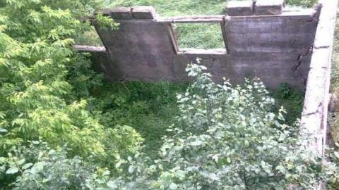 Huttonville Farm Ruins photo 5