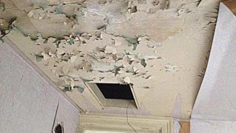 Orchard Visit - City-Orchards137.jpg