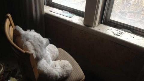 Orchard Visit - City-Orchards142.jpg