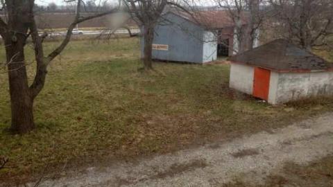 Orchard Visit - City-Orchards143.jpg