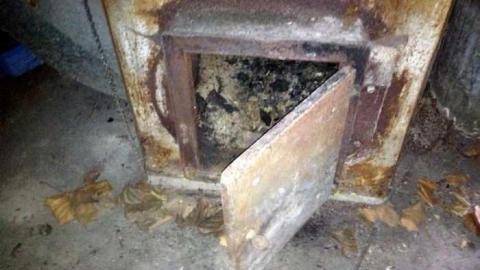 Orchard Visit - City-Orchards156.jpg