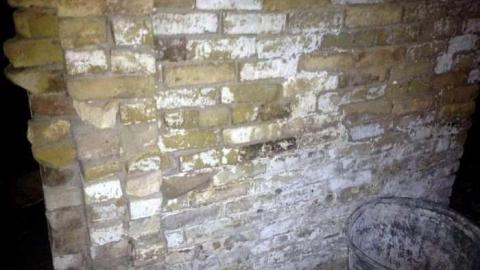 Orchard Visit - City-Orchards2.jpg