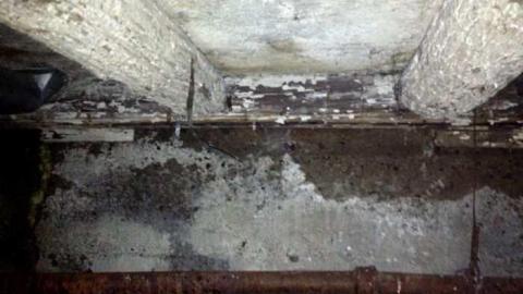 Orchard Visit - City-Orchards157.jpg