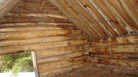 Gallery - Inverhuron-(ghost-town)3.jpg