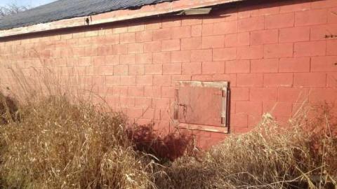 Orchard Visit - City-Orchards1.jpg