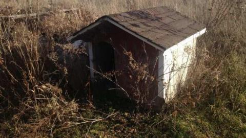 Orchard Visit - City-Orchards4.jpg