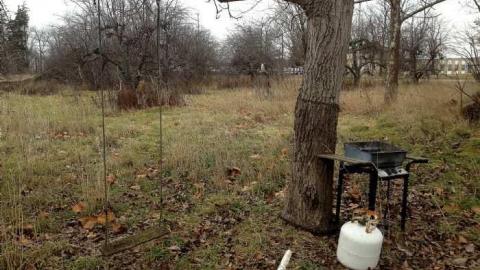 Orchard Visit - City-Orchards5.jpg