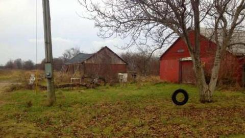 Orchard Visit - City-Orchards138.jpg