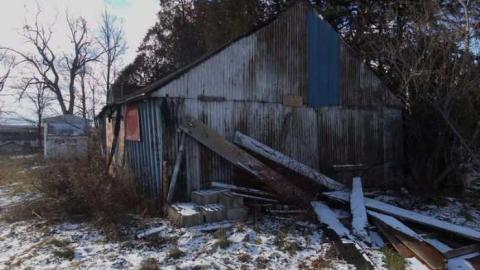 Lucky Last Look - The-Blues-House-Baby6.jpg