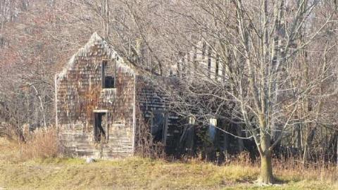 Roof it - Under-the-Stars1.jpg