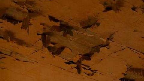 Fall 2012 - ceilinggggg.jpg