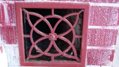 Scabies - Blue-House16.jpg