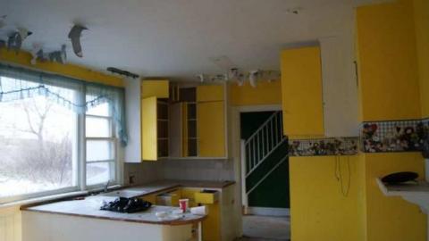 Scabies - Blue-House3.jpg