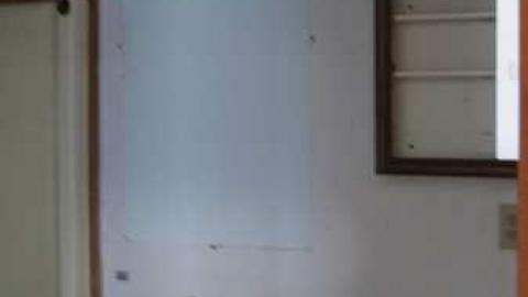 Scabies - Blue-House23.jpg