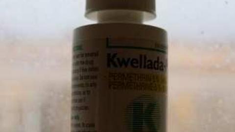 Scabies - Blue-House10.jpg