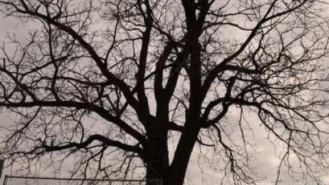 September 2012 -Quiet Savannah - Welcome-to-the-Savannah17.jpg