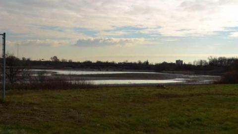 September 2012 -Quiet Savannah - Welcome-to-the-Savannah18.jpg