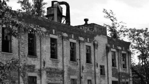 Linseed Summer 2012 - Linseed-Factory305.jpg