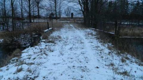 Old Fergus Bridge photo 4