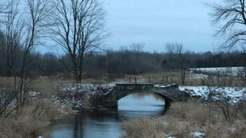 Old Fergus Bridge photo 5