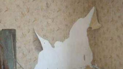 Crows Beware 2012 - DSC02490.jpg