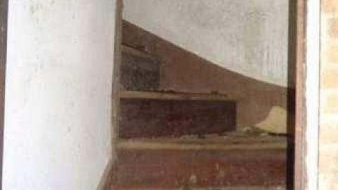 Crows Beware 2012 - DSC02494.jpg