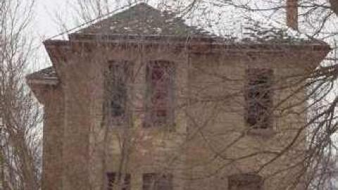 Crows Beware 2012 - DSC02499.jpg