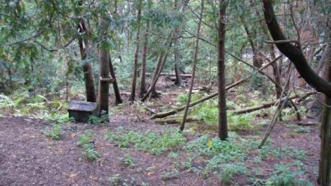 Water Street House - IMG_9191.jpg