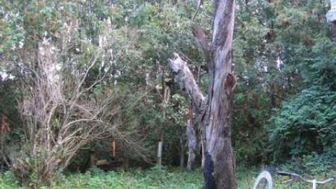 Water Street House - IMG_9192.jpg