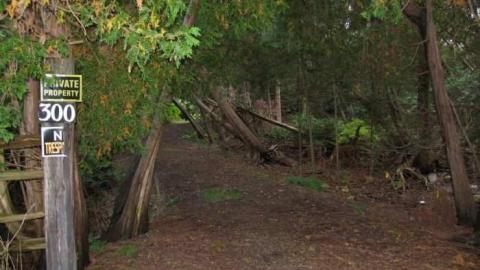 Water Street House - IMG_9197.jpg