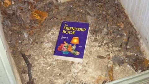 Chirstmas Visit - Paintball13.jpg