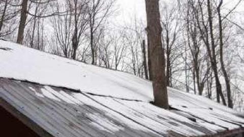 2012 - All-Tied-Up12.jpg