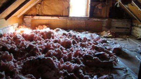 Small Barn & 2 Homes - Calabogie-Small-Abandoned-Barn16.jpg