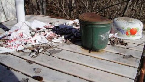 Small Barn & 2 Homes - Calabogie-Small-Abandoned-Barn21.jpg