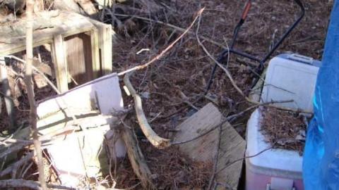 Photo from Small Barn & 2 Homes