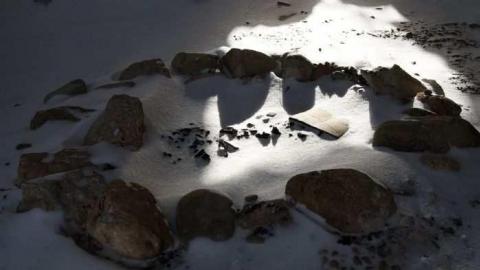 Stone on Willoughby - Stone-Something4.jpg