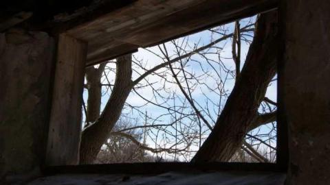 Stone on Willoughby - Stone-Something5.jpg