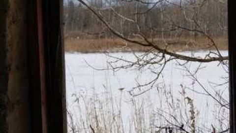 Stone on Willoughby - Stone-Something13.jpg