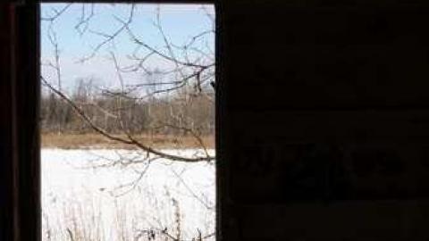 Photo from Stone on Willoughby